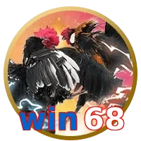 win68